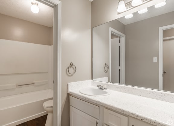 a bathroom with a sink and a mirror and a toilet