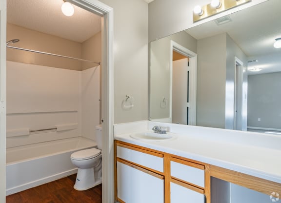 a bathroom with a toilet and a sink and a mirror