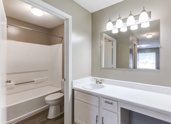 a bathroom with a sink and a toilet and a mirror