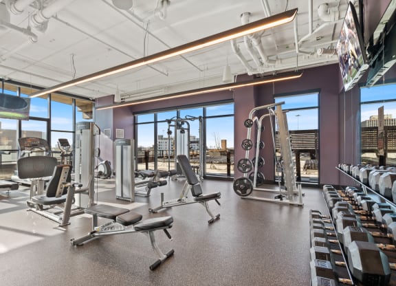 a gym with weights and cardio machines and a view of the city