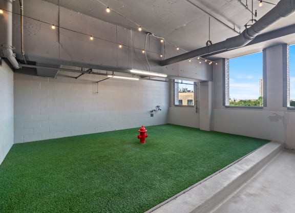 a room with artificial turf and a red fire hydrant