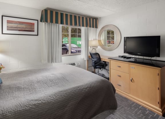 InteriorOneBedStudio