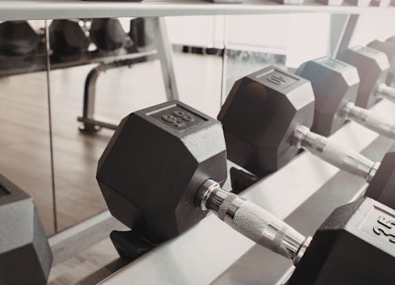 A close up of a black dumbbell with a silver weight plate on a rack in a gym.