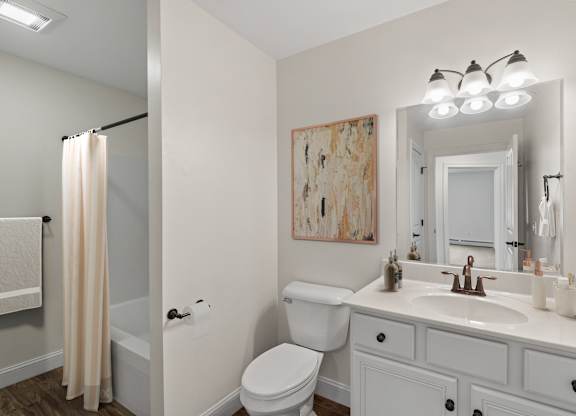 a bathroom with a white sink and toilet and a shower
