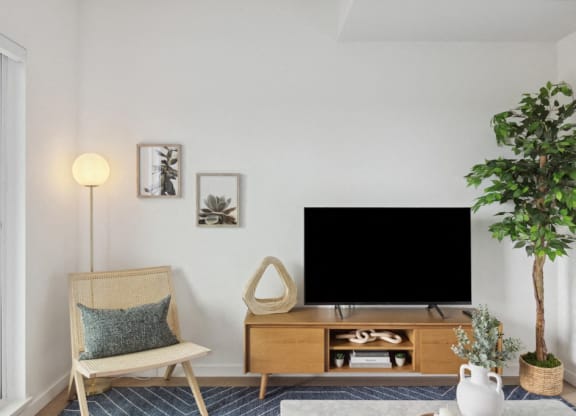 a living room with a television and a plant