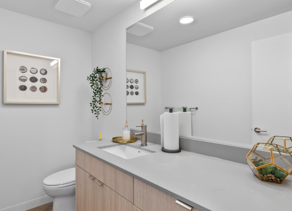 a bathroom with white walls and a white vanity with a white sink and toilet
