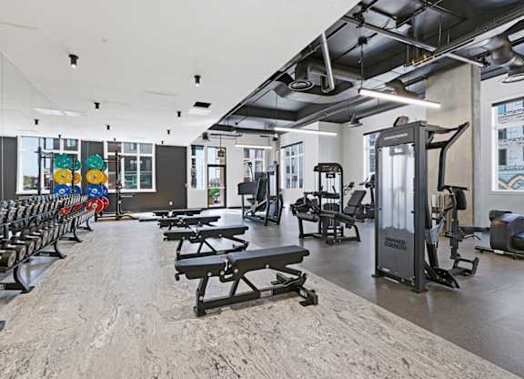 A gym with a variety of equipment including treadmills, weights, and benches.