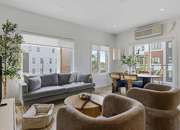A living room with a grey couch, a coffee table, and a potted plant.