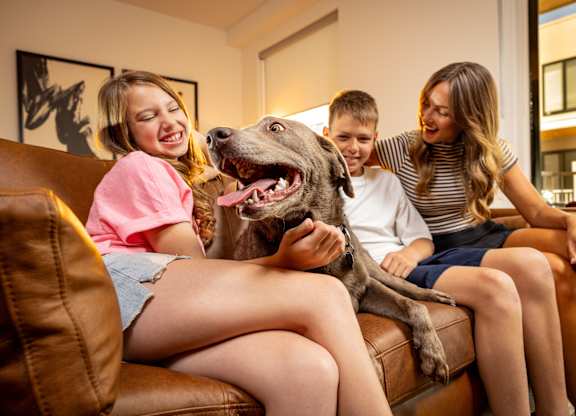 Three people sitting on a couch with a dog.