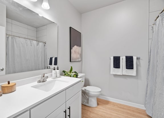 a bathroom with a sink and a toilet and a mirror