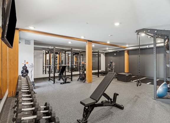 A gym with a variety of equipment including dumbbells, weight plates, and a bench press.