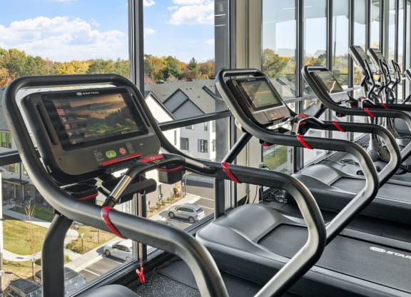 a row of cardio machines in a gym overlooking a window