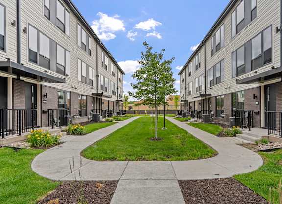 A tree in the middle of a grassy area between two buildings.