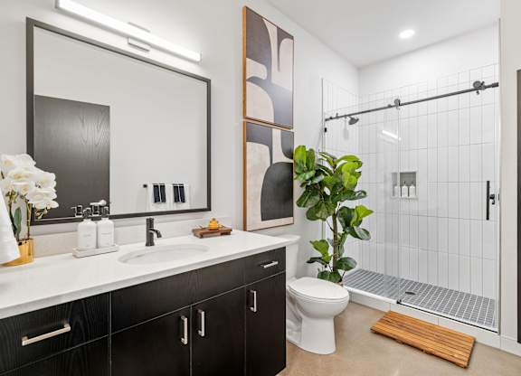 A bathroom with a toilet, sink, mirror, and a plant.