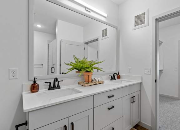 A bathroom with a white counter and a potted plant on it.