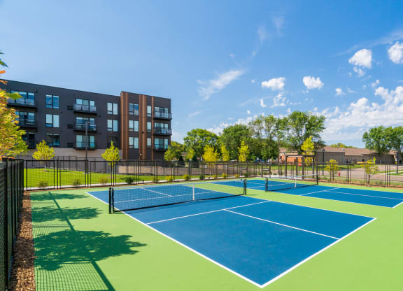 Pickleball Court