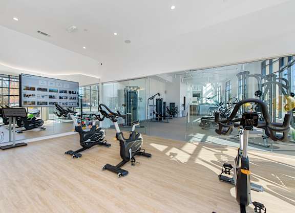 A gym with treadmills, stationary bikes, and other exercise equipment.