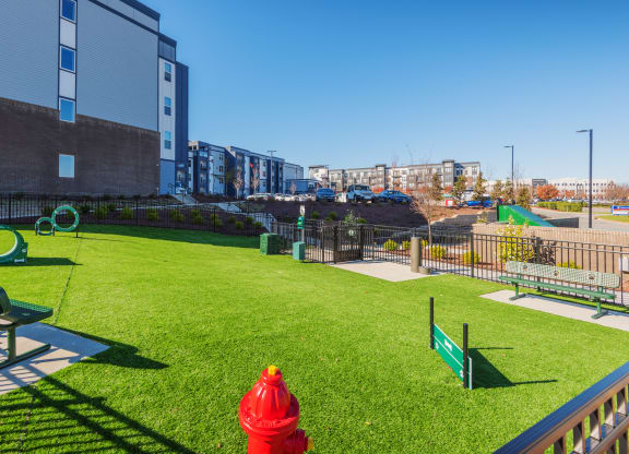 Dog Park with agility course