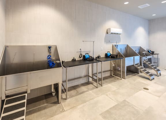 Pet Wash Station