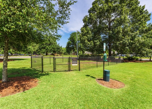 Dog Park
