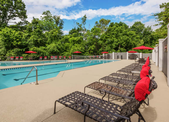 Swimming Pool and lounge deck