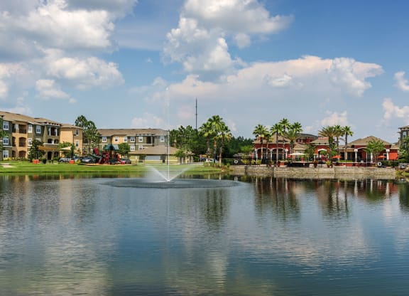 Pond