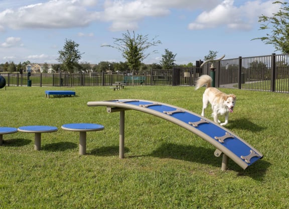 Dog Park with agility course