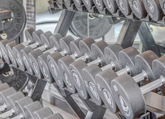 A set of dumbbells are lined up on a rack.