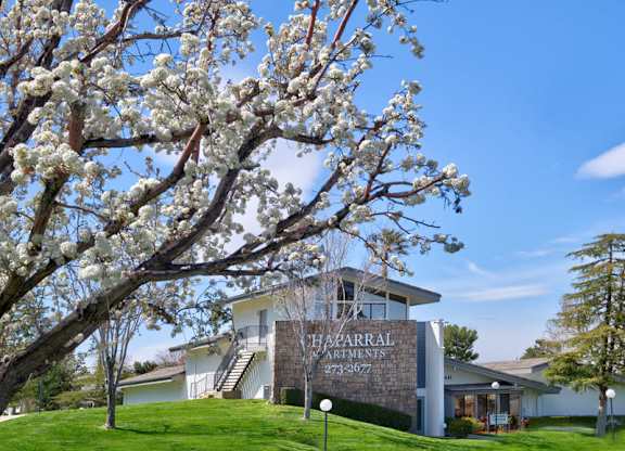 A tree with white blossoms is in front of a building with a sign that says at Chaparral Apartments, California, 93551