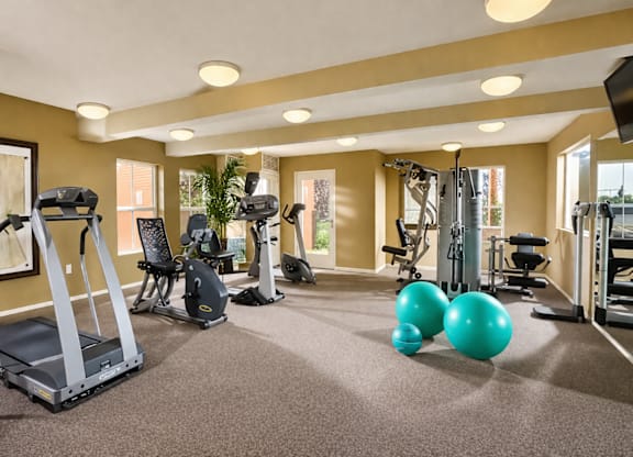 A gym with treadmills, weights, and exercise balls.