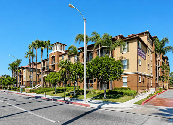 A street view of a residential area with apartment buildings and palm trees.