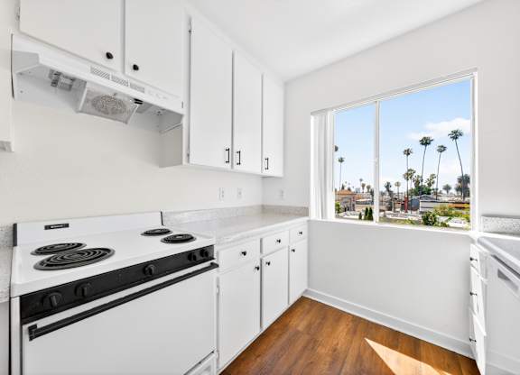 A kitchen with white appliances and cabinets with a view of palm trees outside the window.