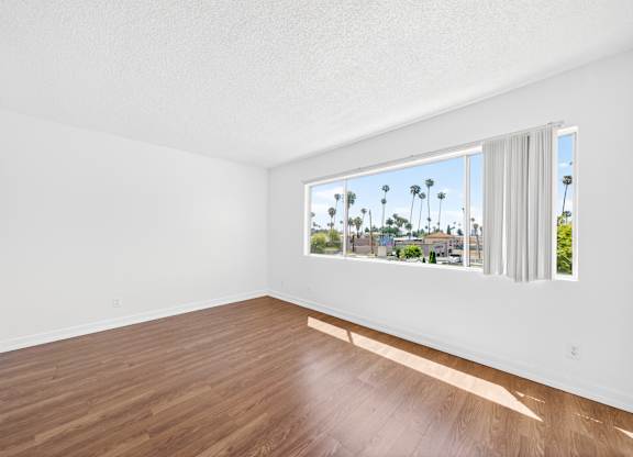A room with wooden flooring and a window showing a view of palm trees.