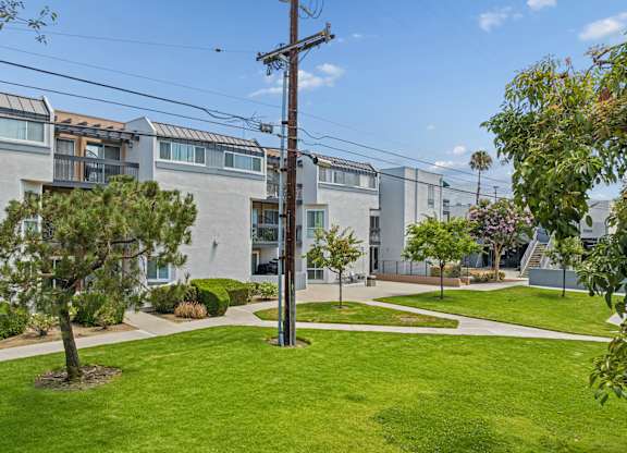A grassy area in front of apartment buildings.