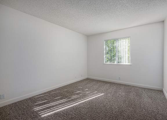 A room with a window and a carpeted floor.