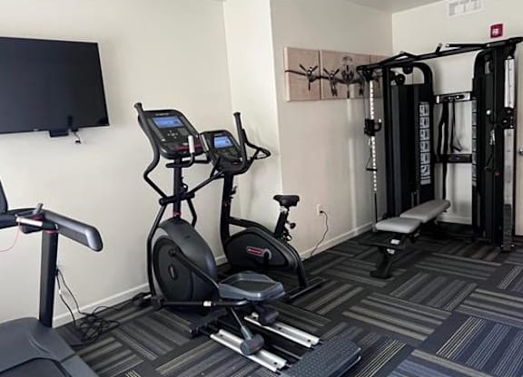 A gym with a treadmill, stationary bike, and a rowing machine.