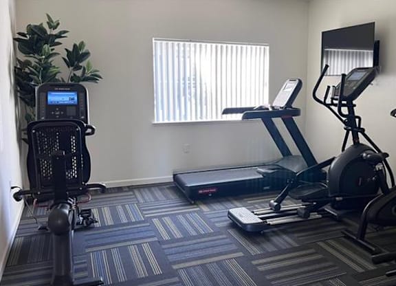 A gym with treadmills, elliptical machines, and other exercise equipment.