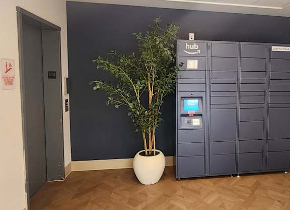 A room with a tall cabinet and a plant in a pot.