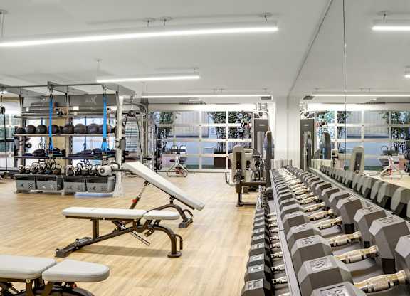 a fully equipped gym with cardio equipment and weights