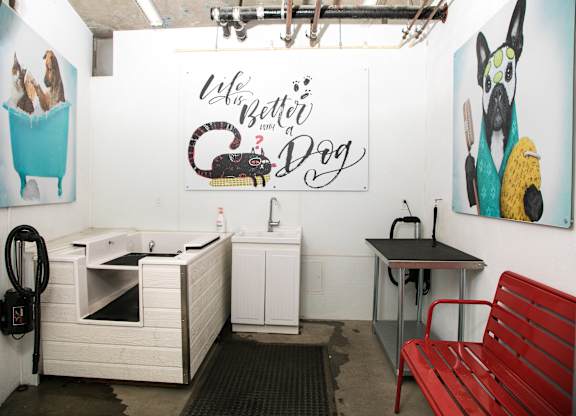 Pet Spa