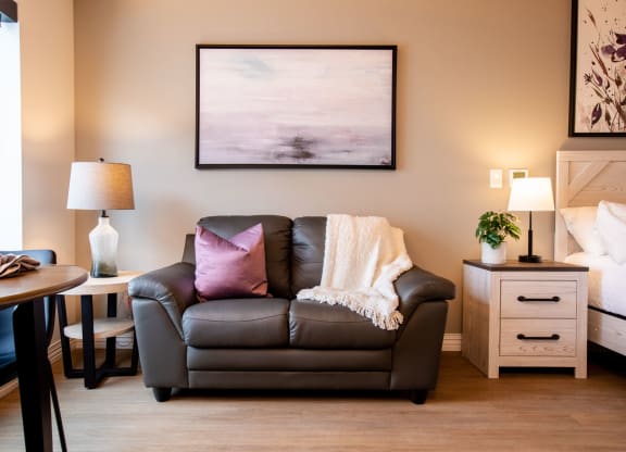 brown couch in living room