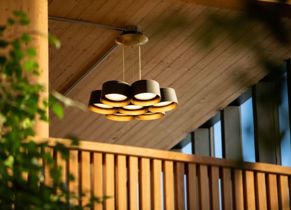 Overhead ceiling light providing natural light