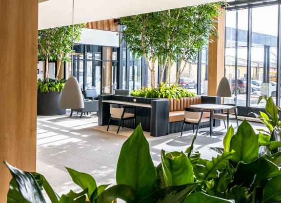this is a photo of the office lobby with plants in the foreground