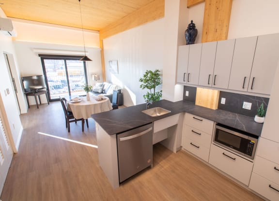 a kitchen or kitchenette at villa scandic apartments