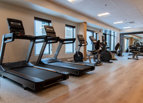 a row of treadmills and elliptical trainers in a gym