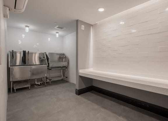 Dog Wash at The Rail at Red Bank, Red Bank, NJ, 07701