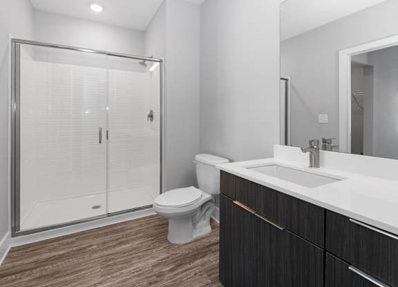 A modern bathroom with a walk-in shower, toilet, and sink.