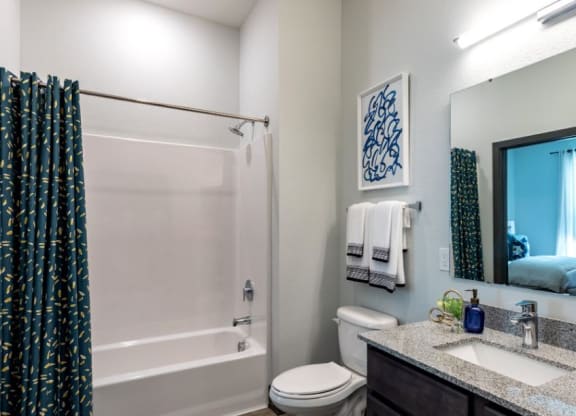 Bathroom With Bathtub at Vida Kannapolis, Kannapolis, NC