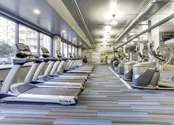 Renovated Apartment Rentals in Crystal City Arlington VA