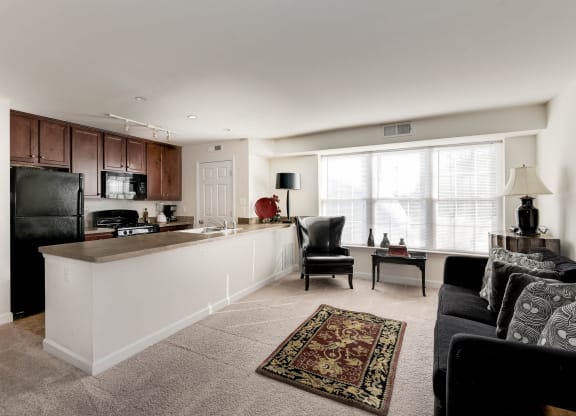Nice Apartment Rentals in National Landing Arlington VA